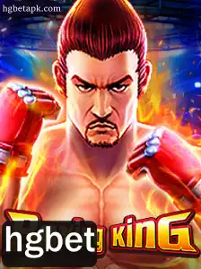 Explorando o Mundo de BoxingKing: Um Guia Completo